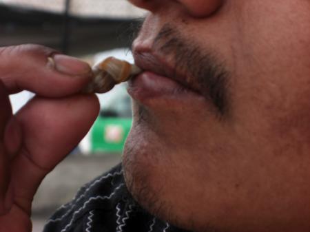 Les escargots 3