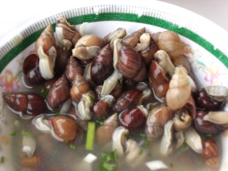 Les escargots