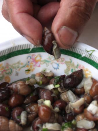 Les escargots 2