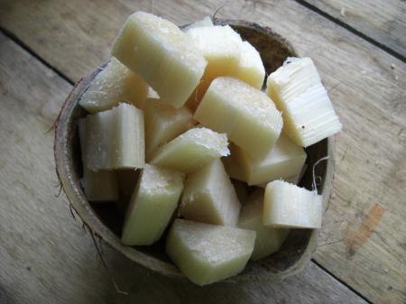 Morceaux de canne à sucre