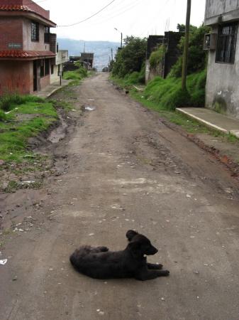 Calle Pedro Sabio (notre rue!)